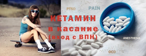шишки Арсеньев