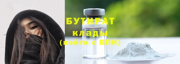 шишки Арсеньев