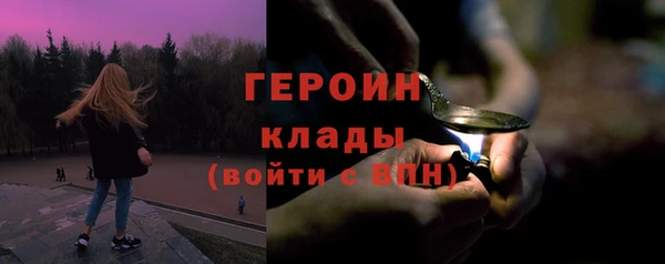 шишки Арсеньев