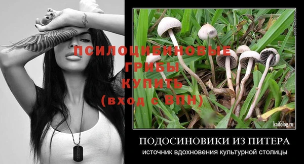 МДПВ Протвино