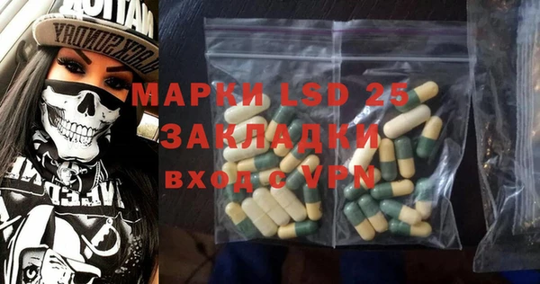 шишки Арсеньев