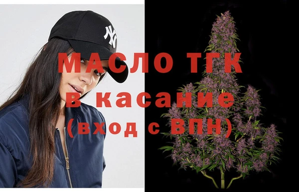 шишки Арсеньев