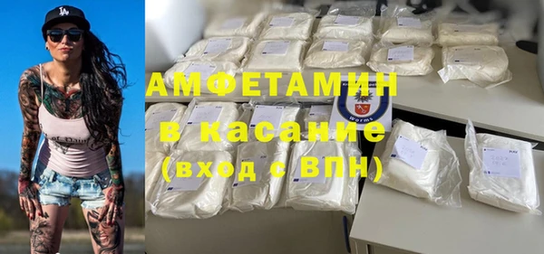 шишки Арсеньев