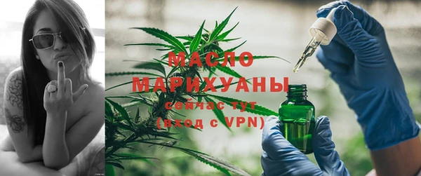 шишки Арсеньев