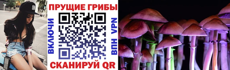 Галлюциногенные грибы Psilocybine cubensis  Нязепетровск 
